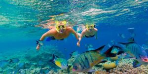 Great-Barrier-Reef